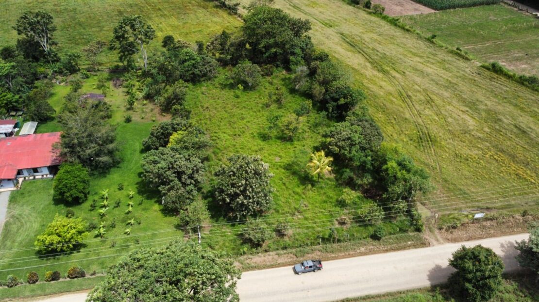 497 M² Of Completely Flat And Fertile Land