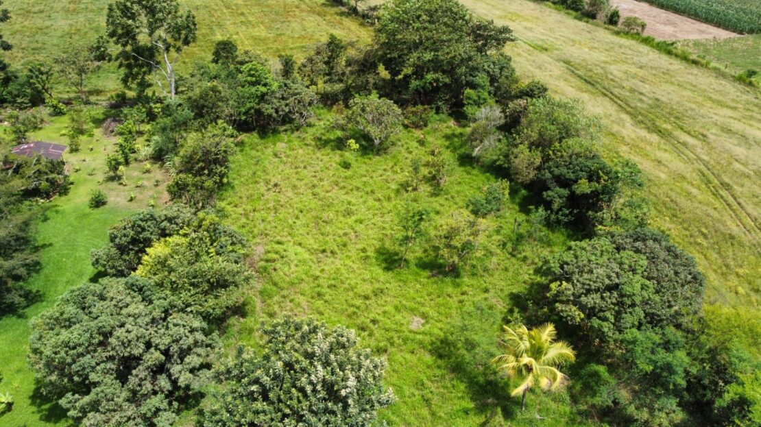 For Sale: Unique Opportunity: 3