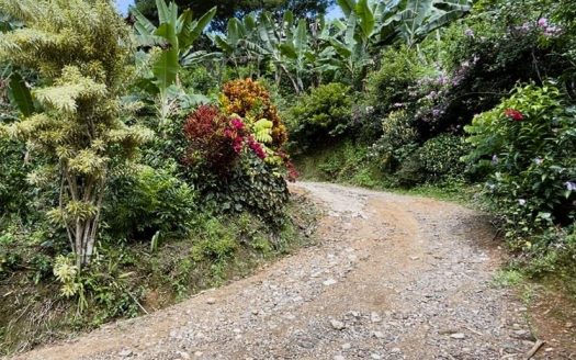 Agricultural Farm for sale in Páramo, Pérez Zeledón