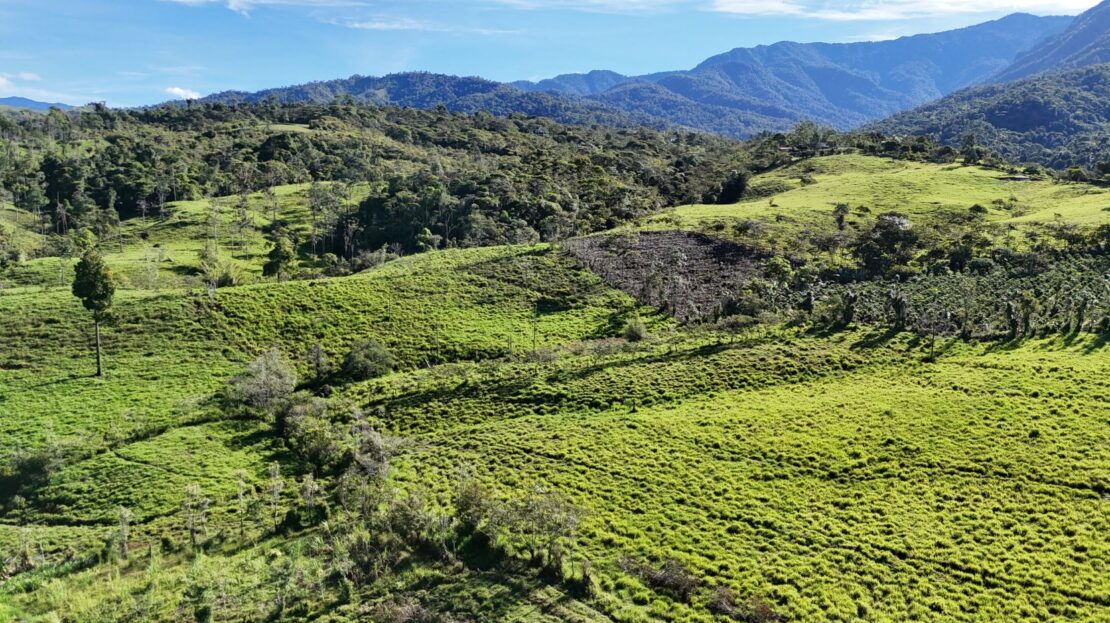 Costa Rica Real Estate