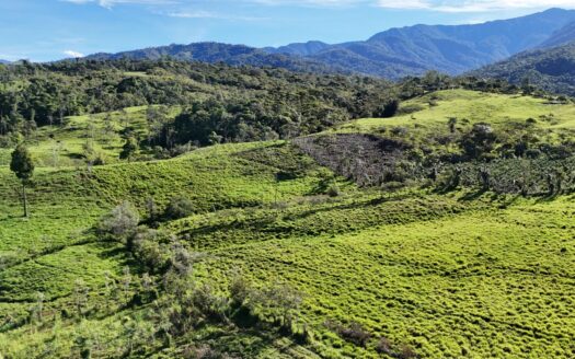 Spacious 2.75 Acres Lot with Great Views and Convenience in Santa Elena Hills