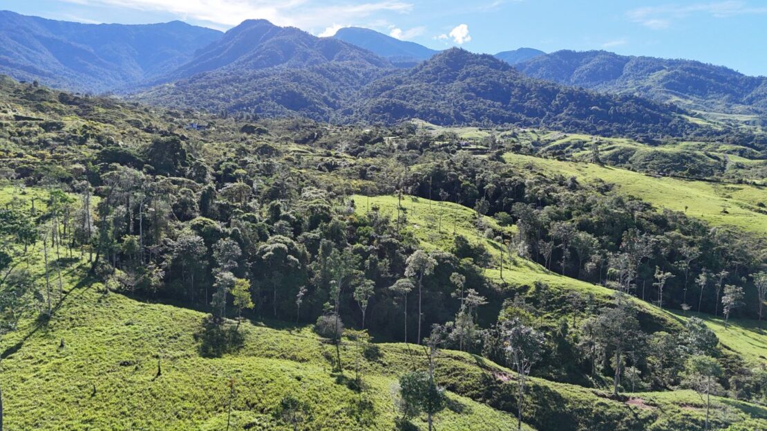 Forest & Flat Building Sites in Santa Elena Hills for $385000