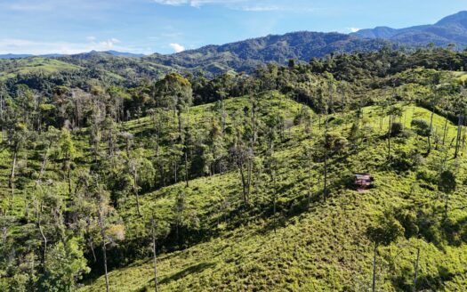 Premium Mountain Parcel with Creeks, Forest & Flat Building Sites in Santa Elena Hills for $385000