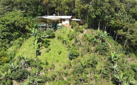 Private Costa Rican Mountain Paradise with stunning views and fresh climate for Just $99K!