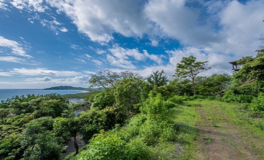 Tamarindo