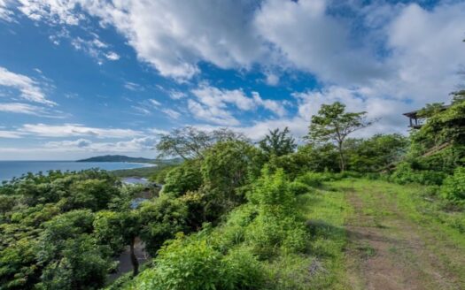 Tamarindo