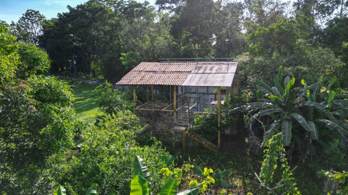 Puntarenas Real Estate