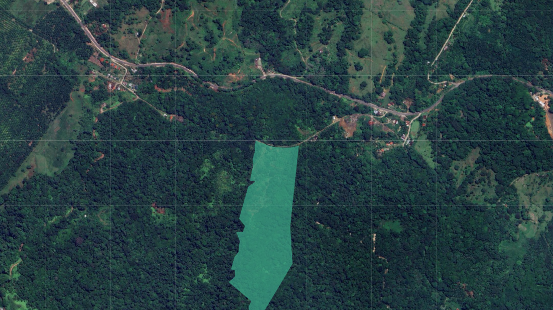 Puntarenas Real Estate