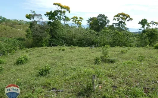 Golfito>Pavones Real Estate