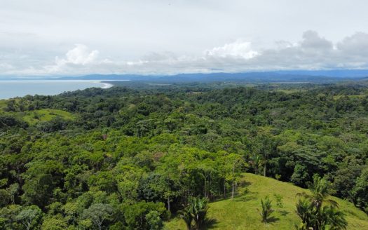 Golfito>Pavones Real Estate