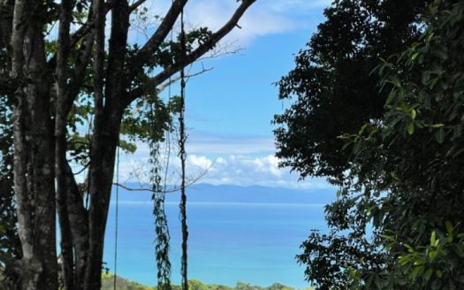 Golfito>Rio Claro de Pavones Real Estate