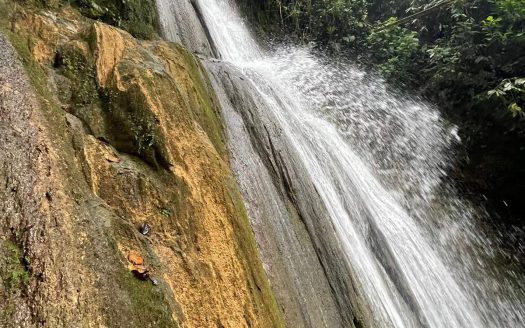 Golfito>Golfito|Golfito>Guaycará Real Estate