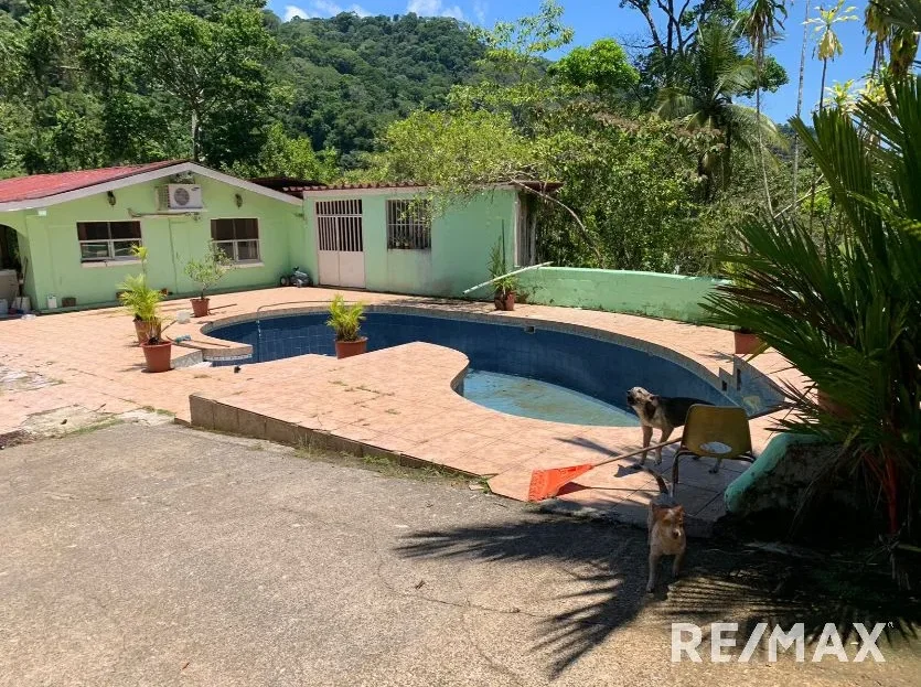 Golfito>Golfito Real Estate