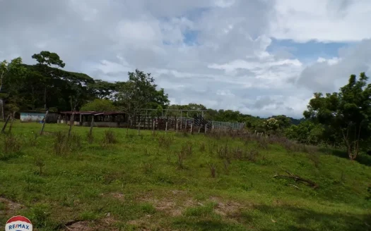 Golfito>Pavones Real Estate