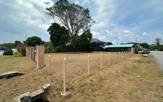 Puerto Jiménez Real Estate