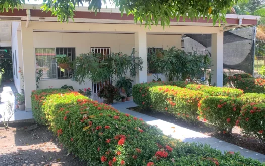 Puerto Jiménez Real Estate