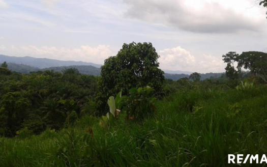 Golfito>Rio Claro de Pavones Real Estate
