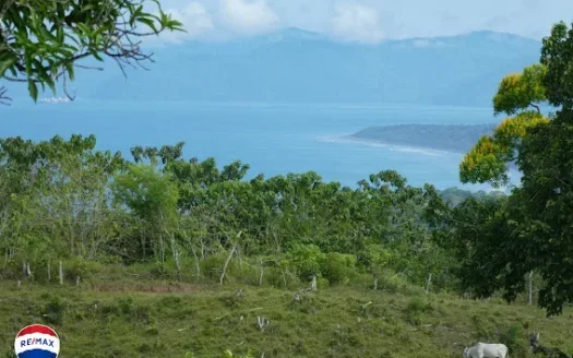 Golfito>Pavones Real Estate