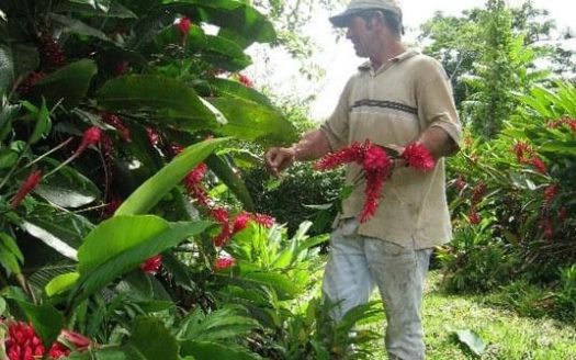 3/4 acres of buildable land near La Fortuna Costa Rica