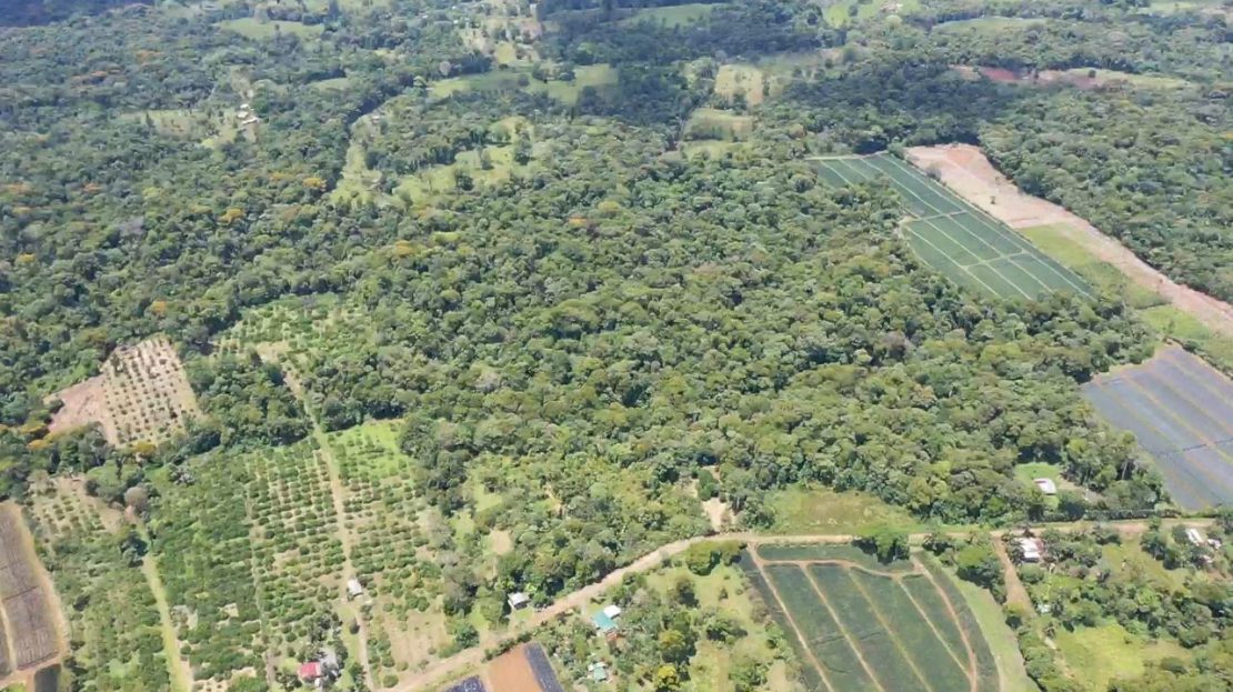 Mountain Land for Sale in Costa Rica – Forested Property