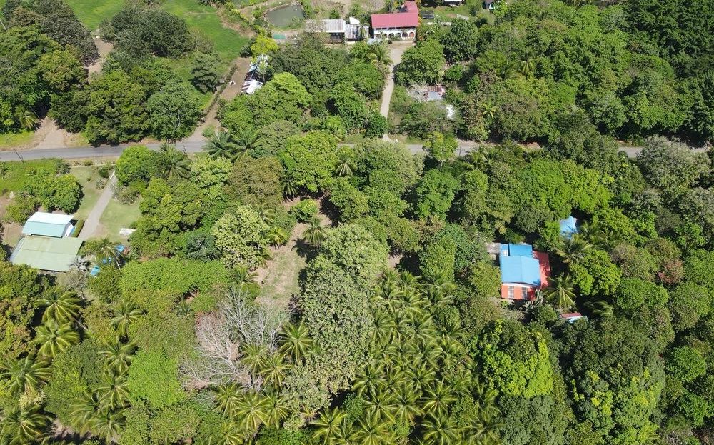 Savegre de Quepos