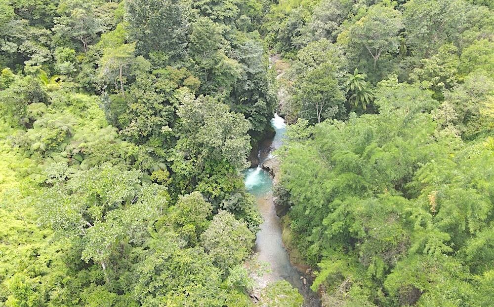 Savegre de Quepos