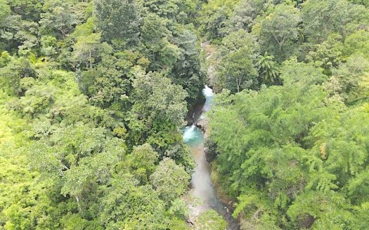 Savegre de Quepos