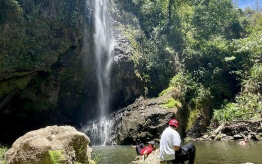 Waterfalls farm for sale