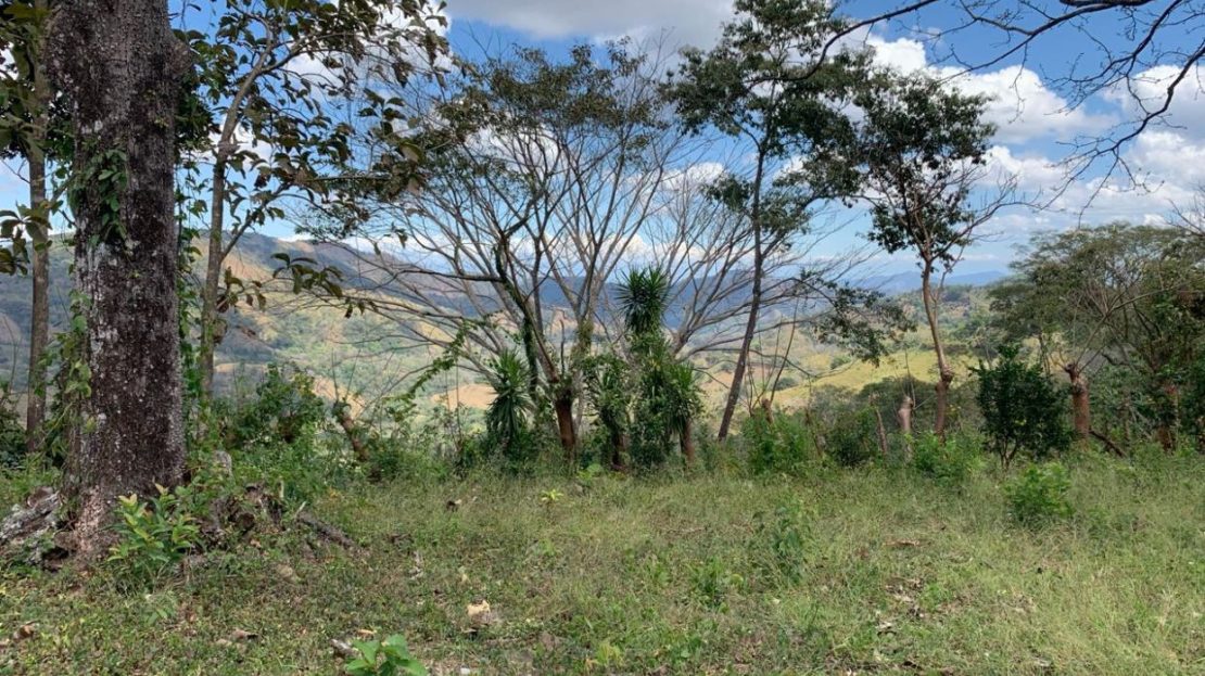 Costa Rica Real Estate
