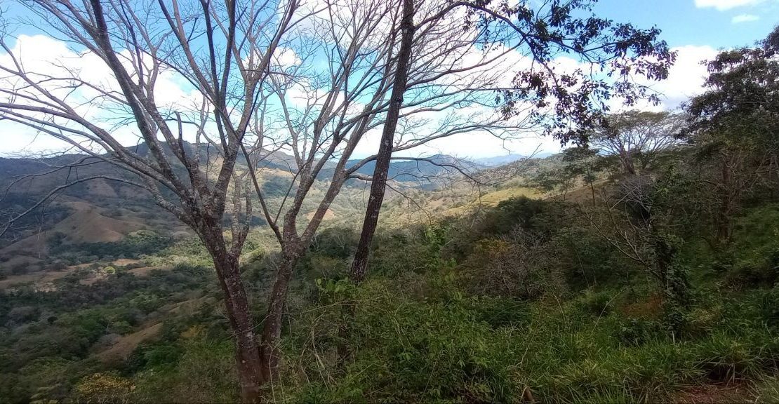 4000m² Flat Lot with Orange Trees & Stunning Mountain Views – Nicoya Peninsula