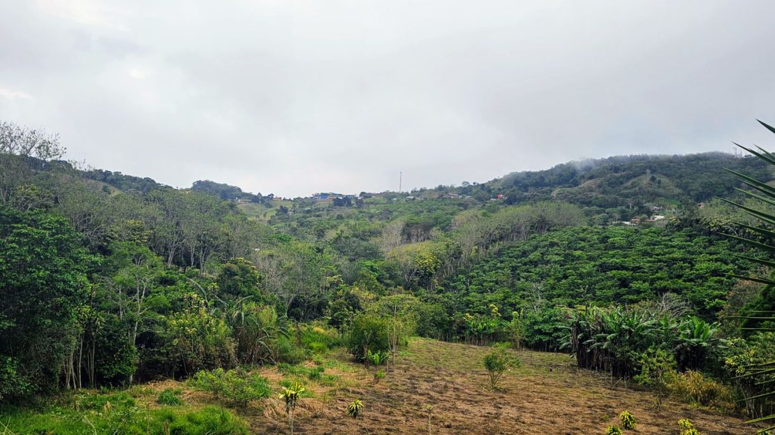 San Ramon