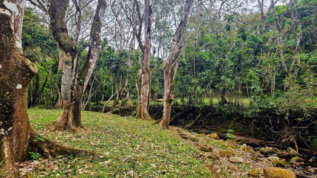 San Ramón – Ideal for an Eco-Retreat or Homestead!
