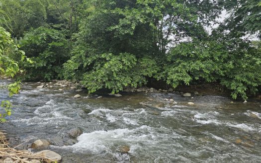 San Carlos -  La Fortuna