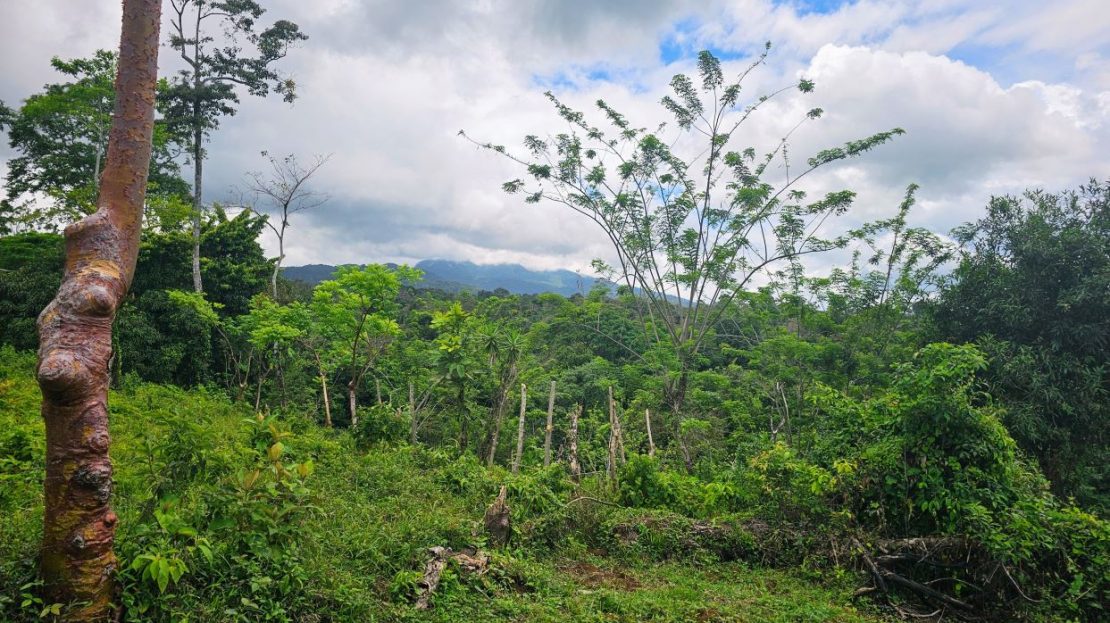 Costa Rica Real Estate