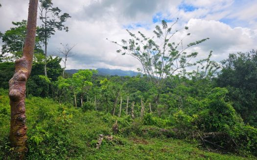 Flat 3,496m² Lot with Stunning Views – Peñas Blancas, San Ramón 100% Usable | Titled | Ready to Build | Paved Road Access