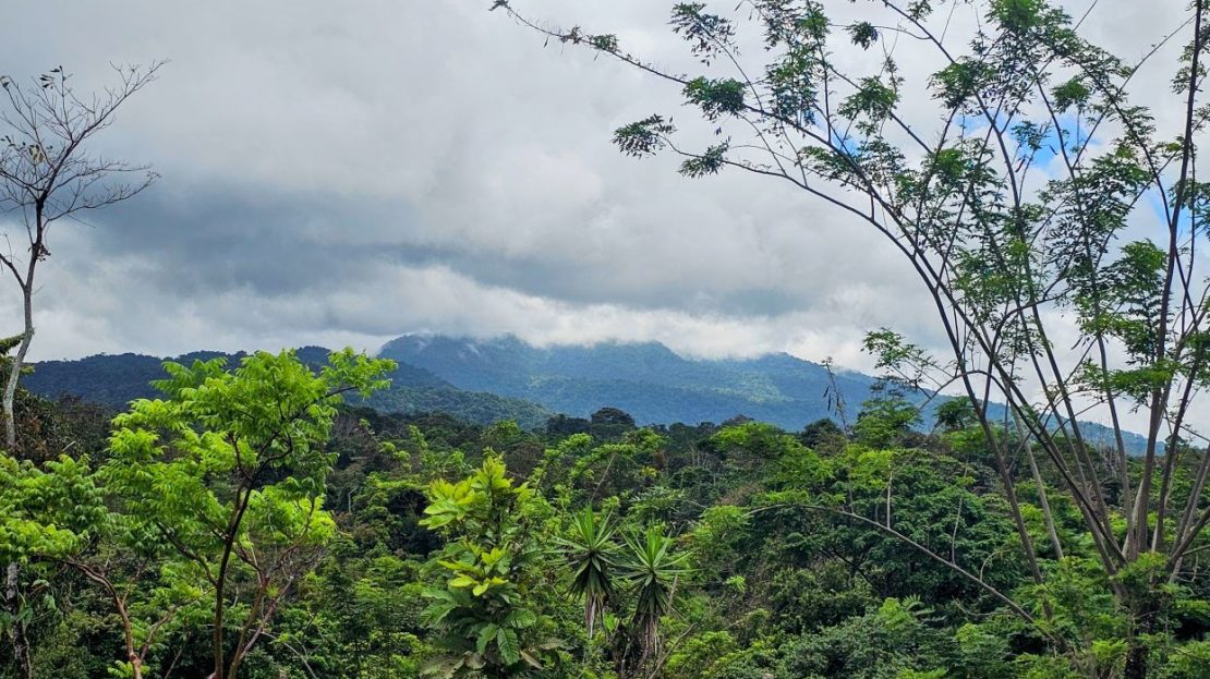 San Ramón 100% Usable | Titled | Ready to Build | Paved Road Access