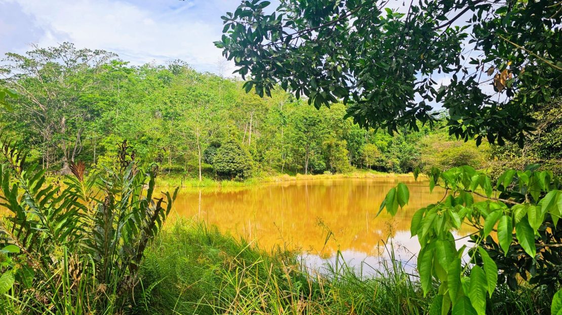 San Carlos - Pocosol