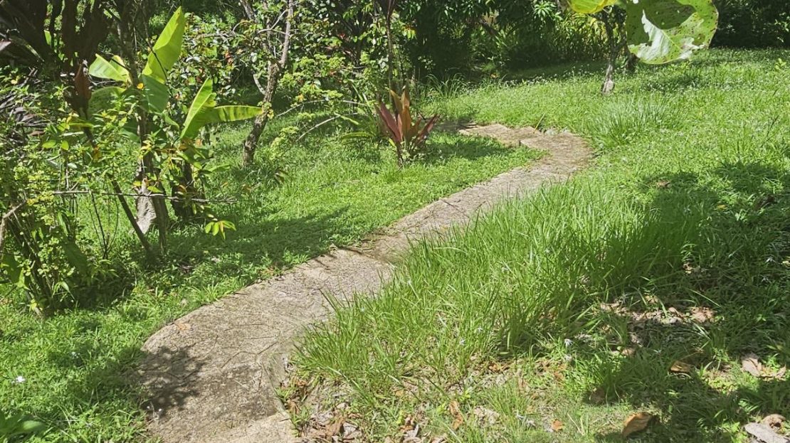 Pool & Productive Orchard