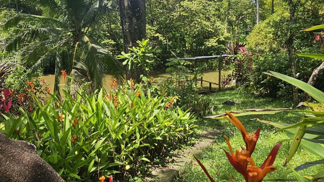 000m² Property with Water Concession