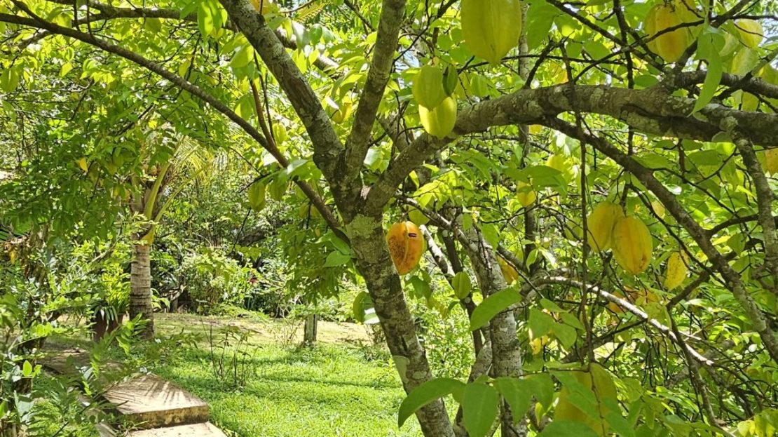 Development Opportunity Near Tambor – 52