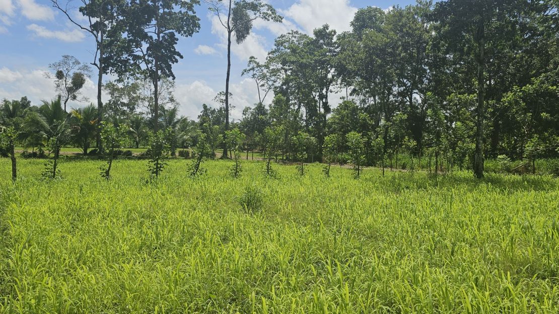 Costa Rica Real Estate