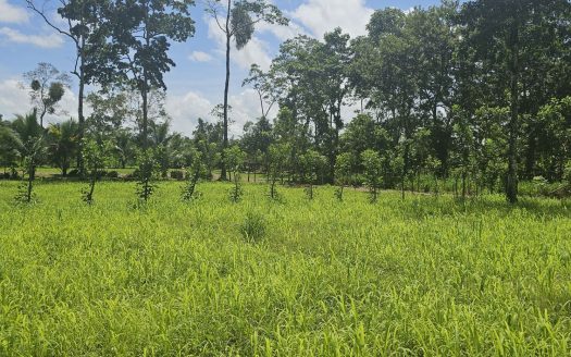 Prime Development Lot with Arenal Volcano Views – 14,000m² in Zonafluca
