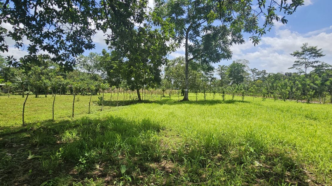 San Carlos -  La Fortuna