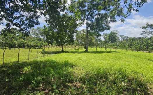 San Carlos -  La Fortuna