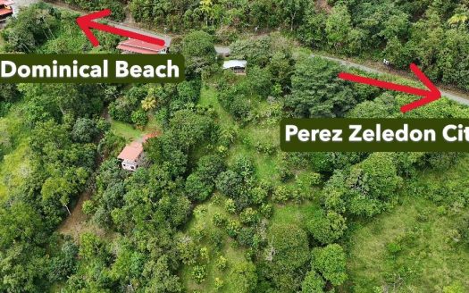 Spacious Lot For Sale With Beautiful Views And Private Spring Water In The Center Of La Palma
