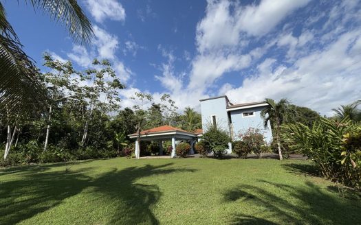 Parrita