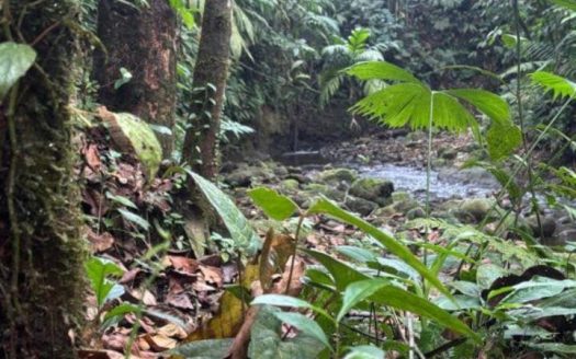 Habana River Lodge Eco Lodge for Sale in La Fortuna Costa Rica