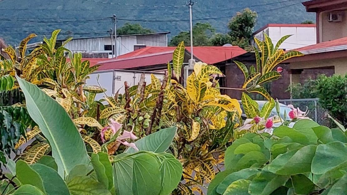 San Carlos -  La Fortuna