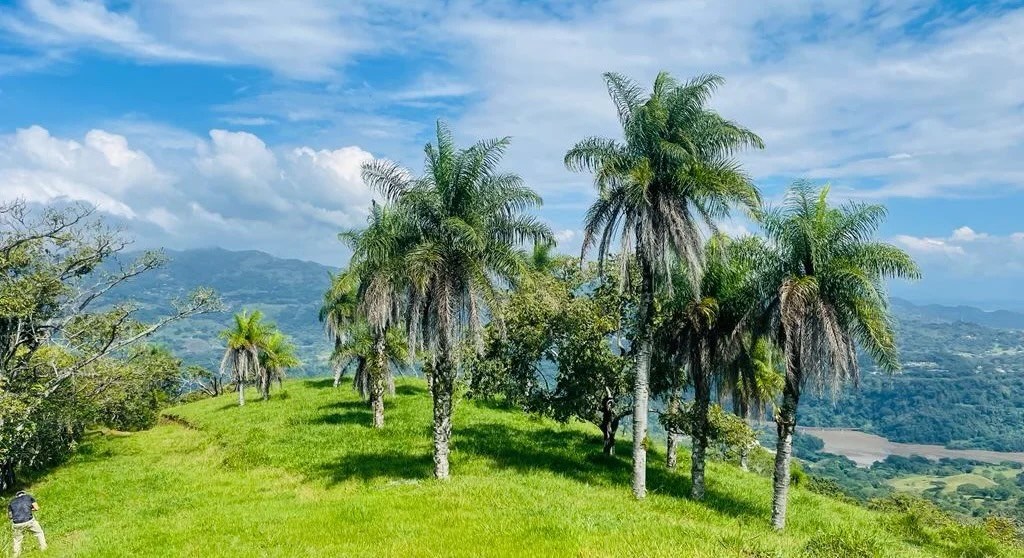 commercial and restaurant for sale 10 min. from highway 27.