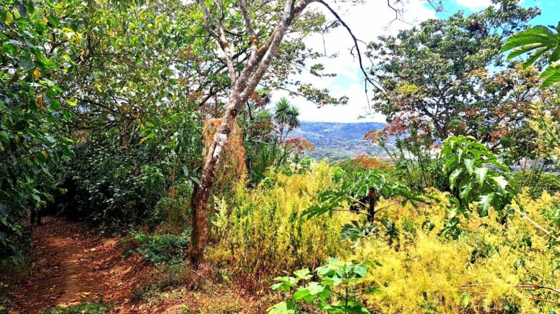 Costa Rica Real Estate